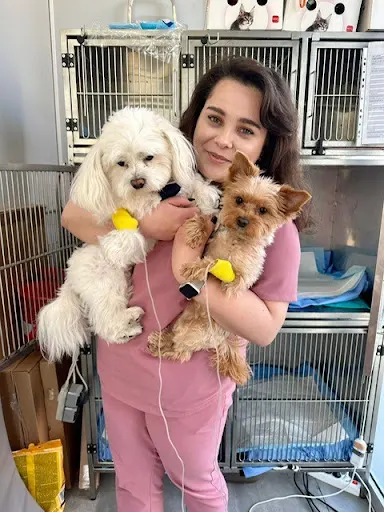 Gabinet weterynaryjny Vets&Pets | Weterynarz Wrocław Śródmieście